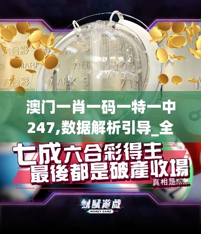 澳门一肖一码一特一中247,数据解析引导_全球版MCK5.31