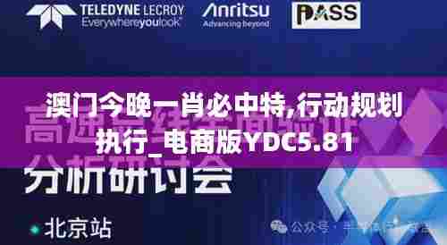 澳门今晚一肖必中特,行动规划执行_电商版YDC5.81
