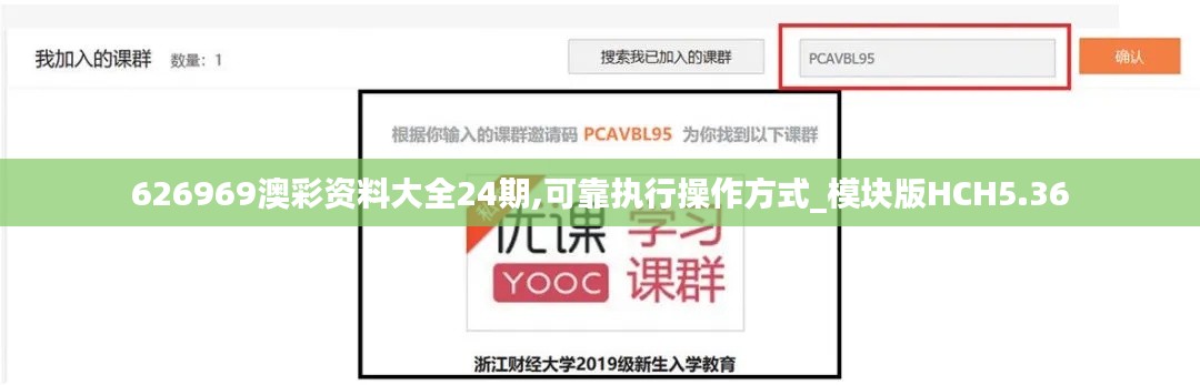 626969澳彩资料大全24期,可靠执行操作方式_模块版HCH5.36