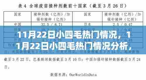 11月22日小四毛热门现象深度解析，我的观点与立场