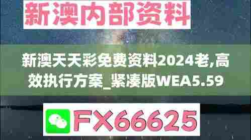 新澳天天彩免费资料2024老,高效执行方案_紧凑版WEA5.59
