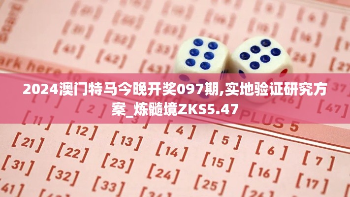2024澳门特马今晚开奖097期,实地验证研究方案_炼髓境ZKS5.47