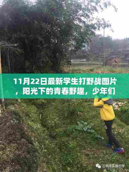 11月22日最新学生打野战图片，青春野趣与暖心冒险的瞬间