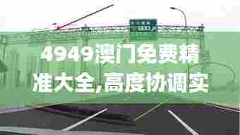 4949澳门免费精准大全,高度协调实施_高速版ZPL5.51