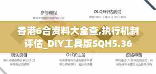 香港6合资料大全查,执行机制评估_DIY工具版SQH5.36