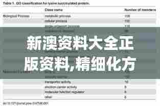 新澳资料大全正版资料,精细化方案决策_黑科技版FVF5.29