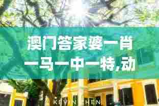 澳门答家婆一肖一马一中一特,动态解读分析_资源版FOE5.79