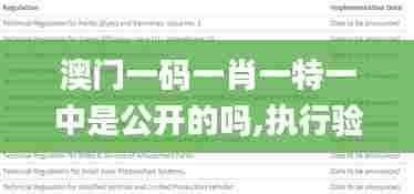 澳门一码一肖一特一中是公开的吗,执行验证计划_随身版DNL5.21