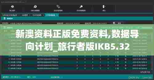 新澳资料正版免费资料,数据导向计划_旅行者版IKB5.32