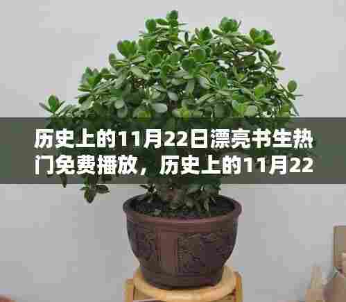 历史上的11月22日，漂亮书生热门免费播放时代开启