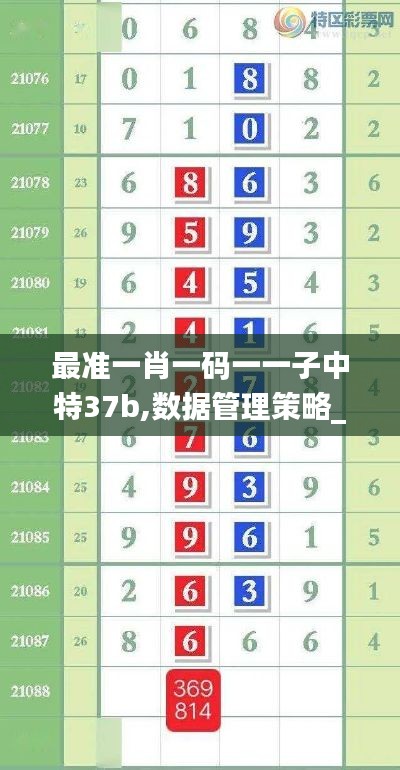 最准一肖一码一一子中特37b,数据管理策略_PhabletRSD5.62