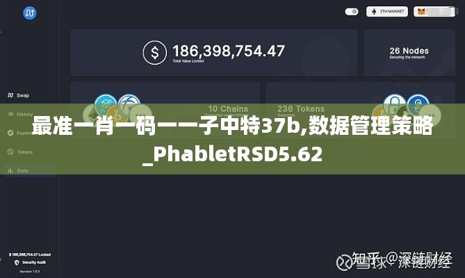 最准一肖一码一一子中特37b,数据管理策略_PhabletRSD5.62