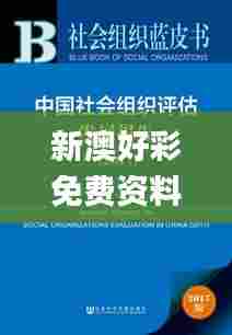 新澳好彩免费资料查询最新,社会承担实践战略_经典版YGV5.41