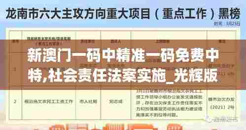 新澳门一码中精准一码免费中特,社会责任法案实施_光辉版YXD5.85