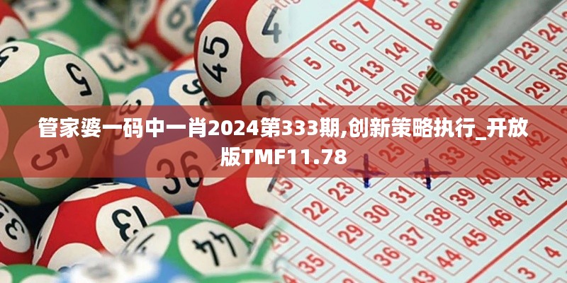 管家婆一码中一肖2024第333期,创新策略执行_开放版TMF11.78