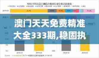 澳门天天免费精准大全333期,稳固执行方案计划_跨界版VNP11.10