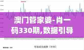 澳门管家婆-肖一码330期,数据引导执行策略_快速版LWC11.65