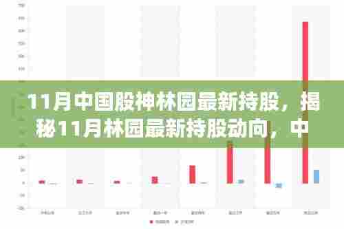 揭秘中国股神林园最新持股动向，投资布局大揭秘（11月版）