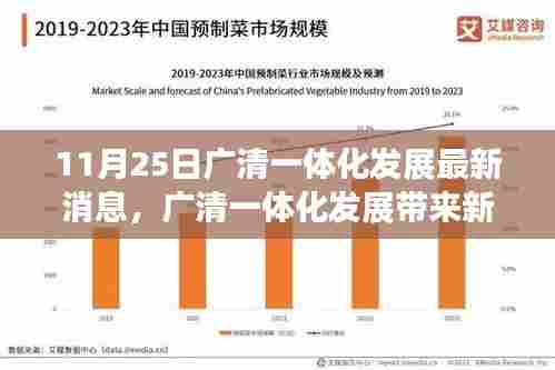 广清一体化发展迎新机遇，变化中的学习铸就自信与成就的最新动态（11月25日）