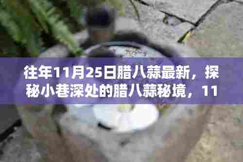 探秘11月25日小巷深处的腊八蒜秘境,独特风味体验