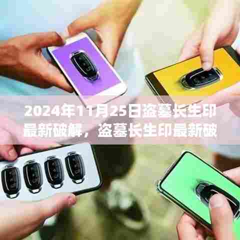 盗墓长生印最新破解，法律边缘的探险与挑战