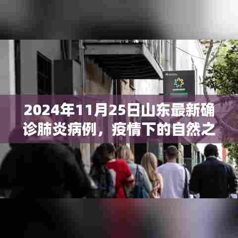 山东疫情下的自然之旅，寻找内心的宁静与勇气，最新确诊病例报道于2024年11月25日