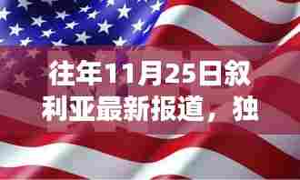 往年11月25日叙利亚最新报道，独家解析往年11月25日叙利亚局势最新报道，深度解读叙利亚内战进展与和平前景