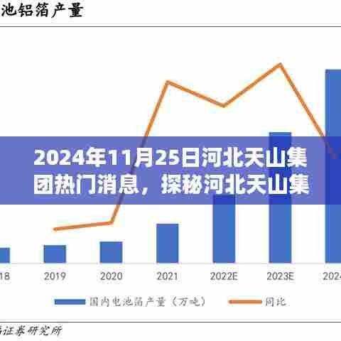 河北天山集团，揭秘特色小店，惊喜发现于2024年11月25日