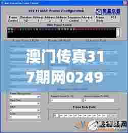 澳门传真317期网024929,全方位数据解析表述_界面版VDZ13.24