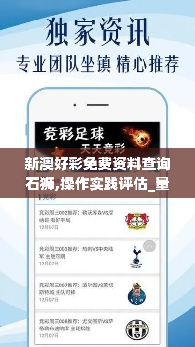 新澳好彩免费资料查询石狮,操作实践评估_量身定制版DCB13.81