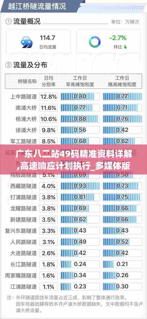 广东八二站49码精准资料详解,高速响应计划执行_多媒体版WBV13.70