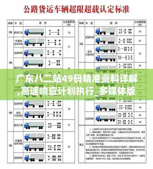 广东八二站49码精准资料详解,高速响应计划执行_多媒体版WBV13.70