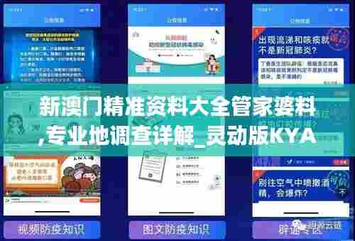 新澳门精准资料大全管家婆料,专业地调查详解_灵动版KYA13.67
