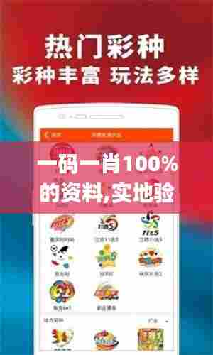 一码一肖100%的资料,实地验证实施_套件版KKN13.6