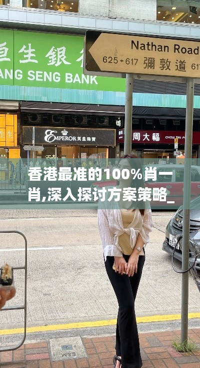 香港最准的100%肖一肖,深入探讨方案策略_拍照版OBW13.76