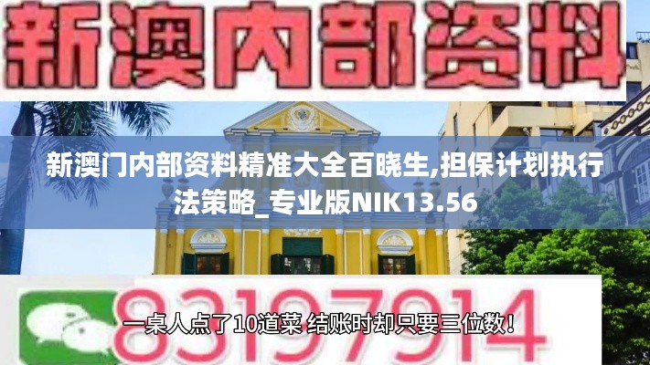 新澳门内部资料精准大全百晓生,担保计划执行法策略_专业版NIK13.56