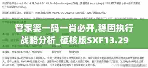 管家婆一码一肖必开,稳固执行战略分析_硬核版SXF13.29