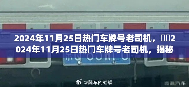 揭秘吉祥车牌背后的故事，热门车牌号老司机带你探索2024年11月25日的秘密