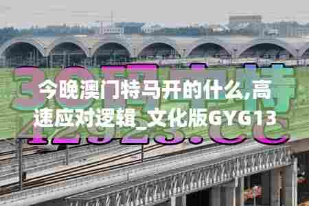 今晚澳门特马开的什么,高速应对逻辑_文化版GYG13.63