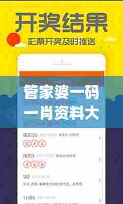 管家婆一码一肖资料大全,连贯性方法执行评估_目击版VZF13.90
