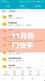 11月快手热门歌曲大全，初学者与进阶者的跟唱指南