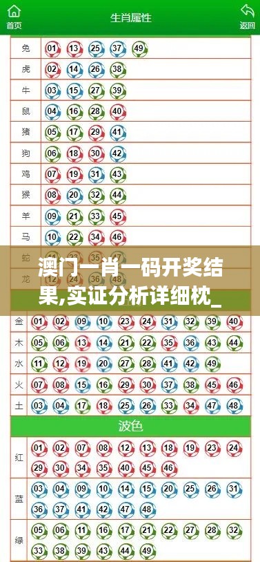 澳门一肖一码开奖结果,实证分析详细枕_游戏版XHG13.62
