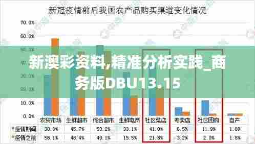 新澳彩资料,精准分析实践_商务版DBU13.15