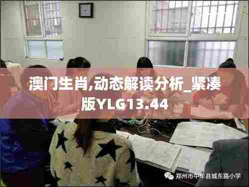 澳门生肖,动态解读分析_紧凑版YLG13.44