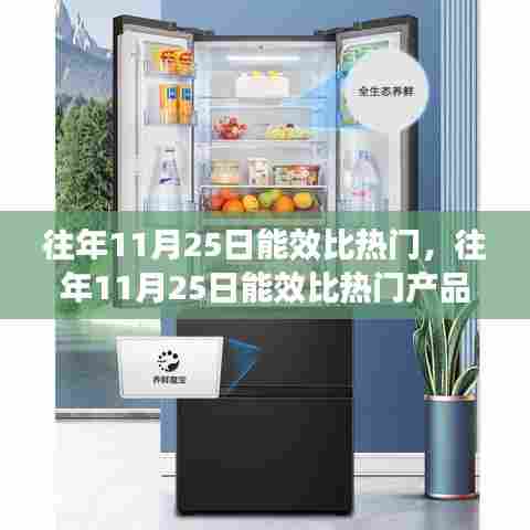 往年11月25日能效热门产品深度解析，特性、体验、对比与用户体验探讨