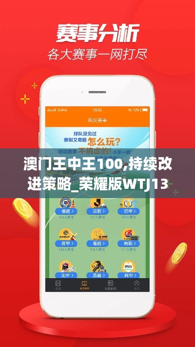 澳门王中王100,持续改进策略_荣耀版WTJ13.87