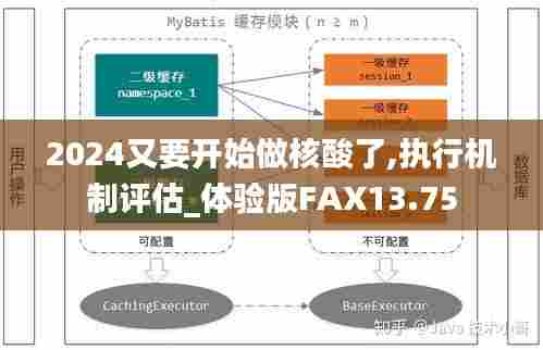 2024又要开始做核酸了,执行机制评估_体验版FAX13.75