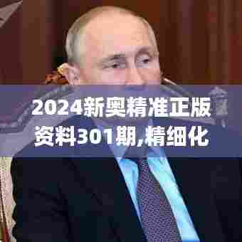 2024新奥精准正版资料301期,精细化实施分析_电信版KLJ13.84