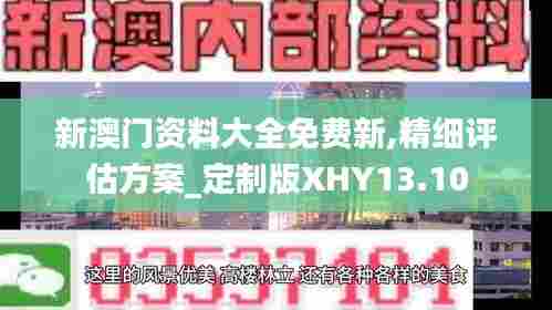 新澳门资料大全免费新,精细评估方案_定制版XHY13.10
