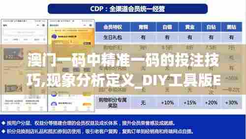 澳门一码中精准一码的投注技巧,现象分析定义_DIY工具版EVR13.31